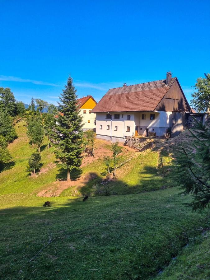 Ferienwohnung Holiswald Oppenau Luaran gambar