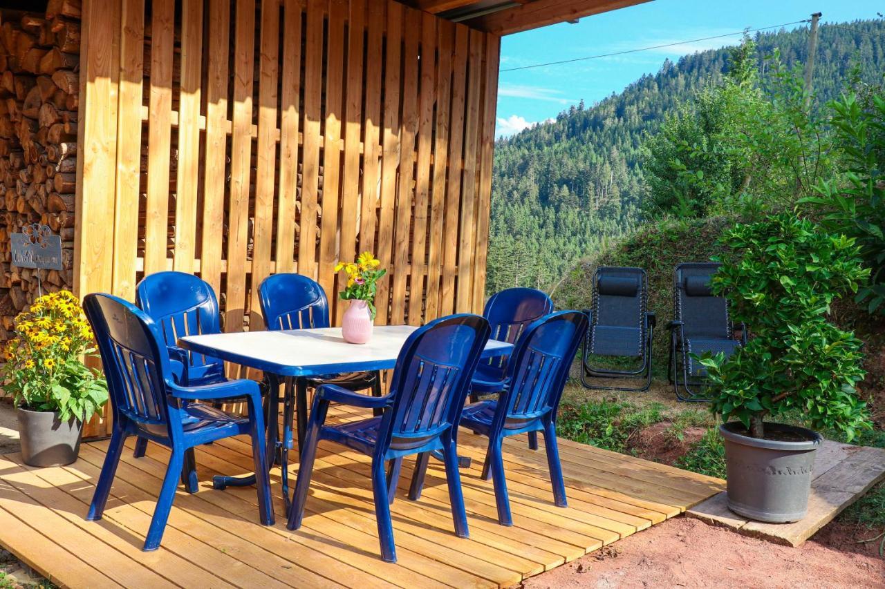 Ferienwohnung Holiswald Oppenau Luaran gambar